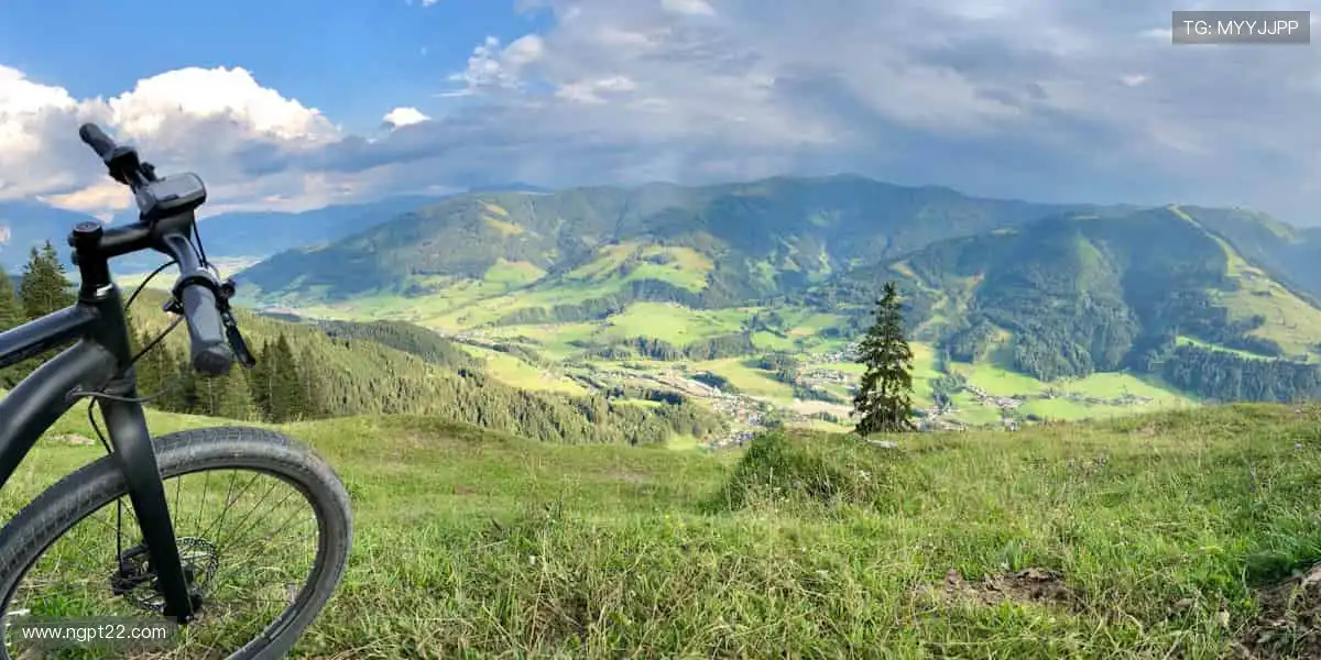 🌟全球赛事盛宴，见证下一个传奇诞生！🏆